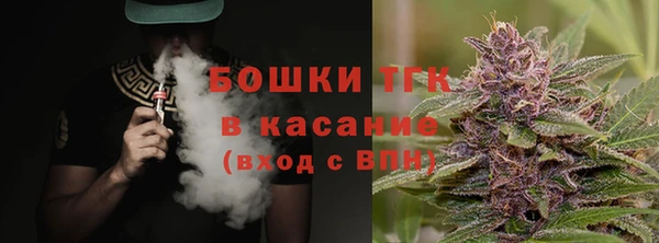 стаф Медногорск