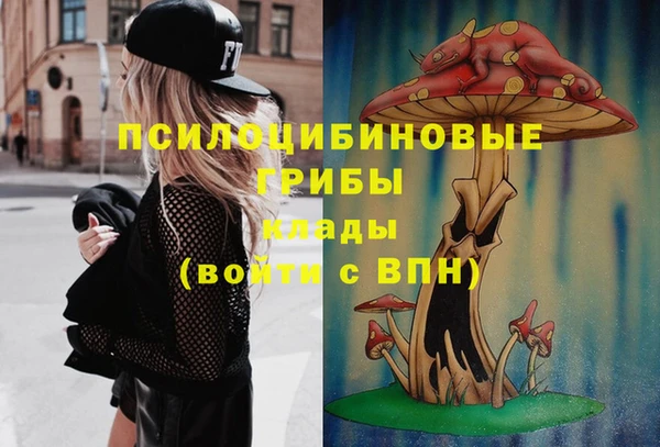 apvp Медвежьегорск