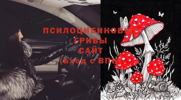 стаф Медногорск