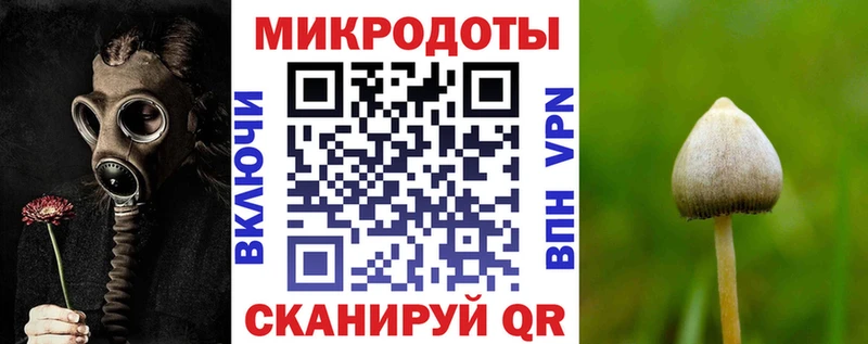hydra онион  Чаплыгин  Псилоцибиновые грибы Cubensis 